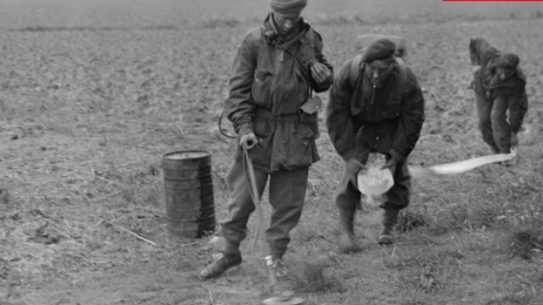 Britse militairen in de Biesbosch zoeken mijnen (foto: IWM).